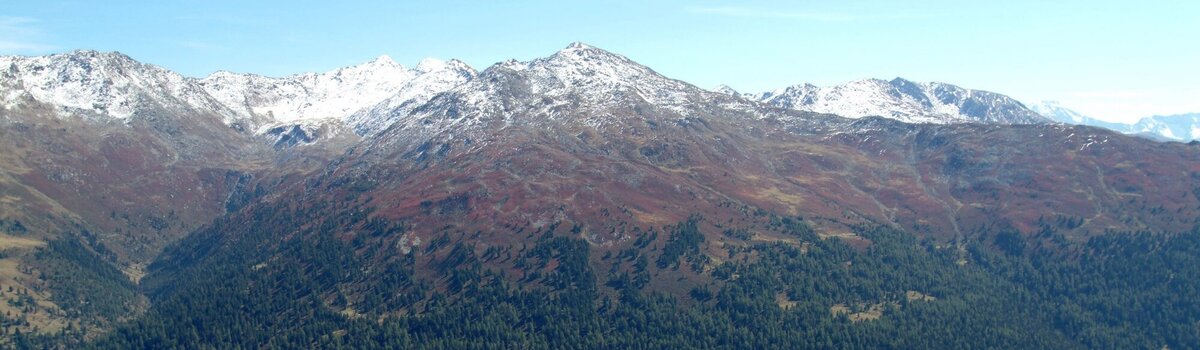 Wald umgeben von einer Berglandschaft