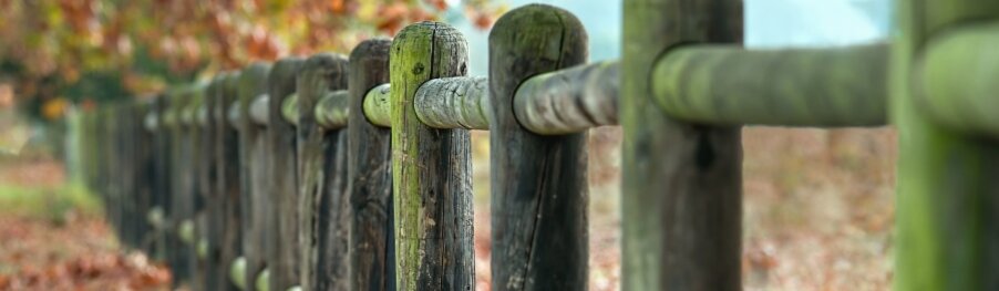 Holzzaun bemoost in herbstlicher Landschaft